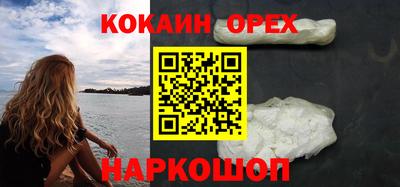 гидра Новозыбков