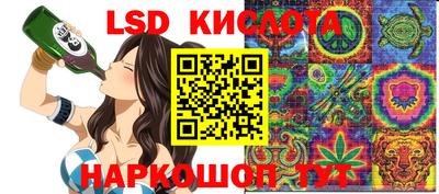 спиды Новодвинск