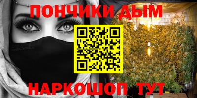 гидра Новозыбков