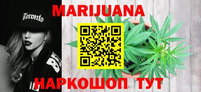 гидра Новозыбков