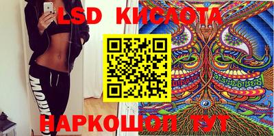 гидра Новозыбков