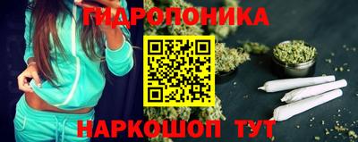 спиды Новодвинск