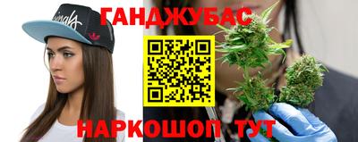 спиды Новодвинск