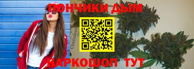 спиды Новодвинск