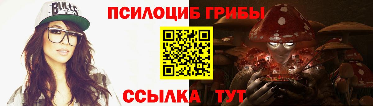 Псилоцибиновые грибы Cubensis Заринск